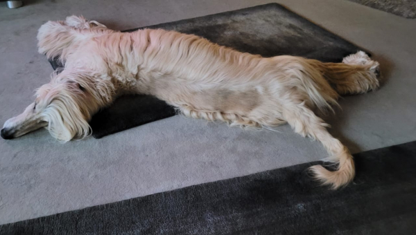 Happy Birthday Tommy!